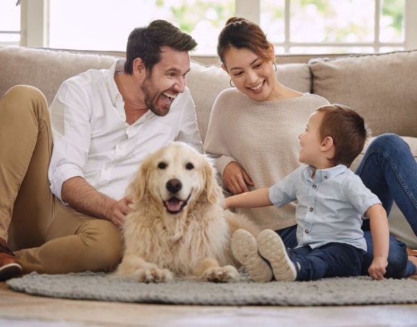 ENTOMOSTOP - Οικολογικές λύσεις για απεντόμωση