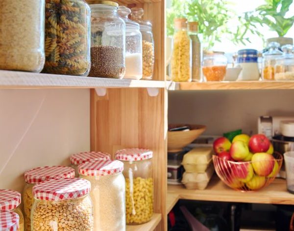 ENTOMOSTOP - Έντομα τροφίμων