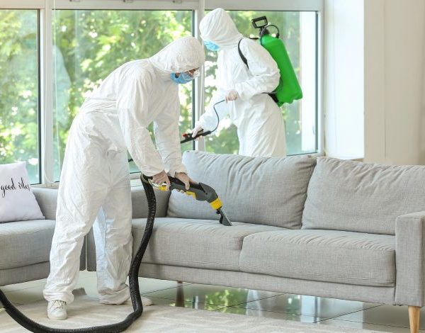 ΕΝΤΟΜΟSTOP - Προληπτική απεντόμωση