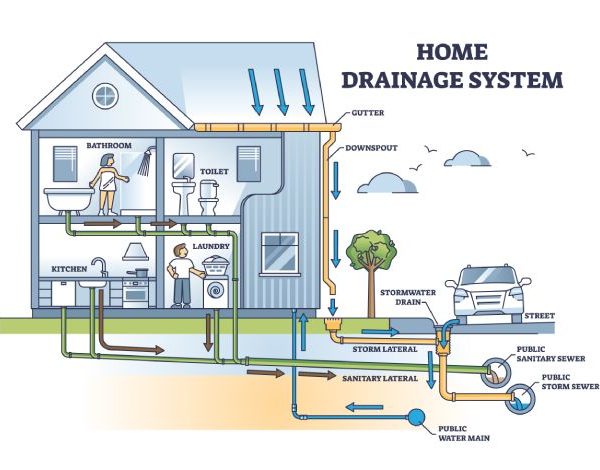 ENTOMOSTOP - Αρουραίοι στην αποχέτευση